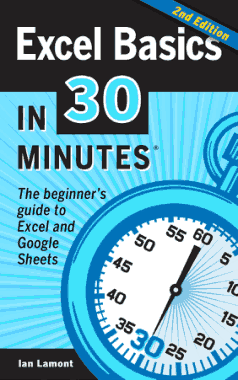 Excel Basics in 30 Minutes Book
