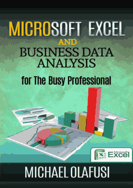 Microsoft Excel and Business Data Analysis For The Busy Professional Book