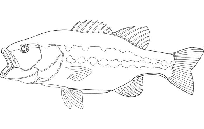Free Download Vectors, Largemouth Bass Fish Laser Cut DXF File