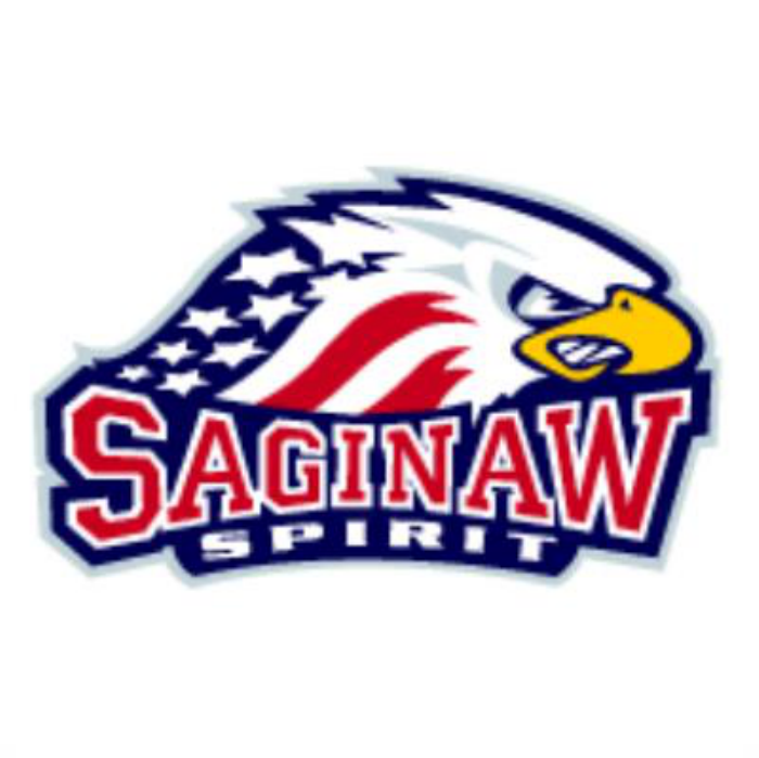 Free Download Vectors, Saginaw1 Eps Logo Vector