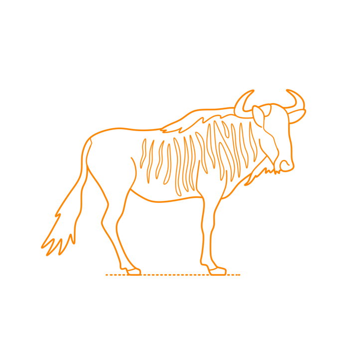 Free Download Vectors, Animals Antelopes Blue Wildebeest line Tracing Svg Vector