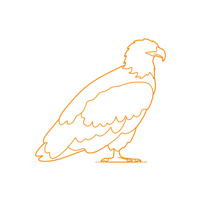Free Download Vectors, Animals Birds Of Prey Bald Eagle line Tracing Svg Vector