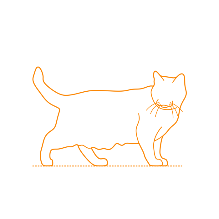 Free Download Vectors, Animals Cats Chartreux Cat Drawing Svg Vector