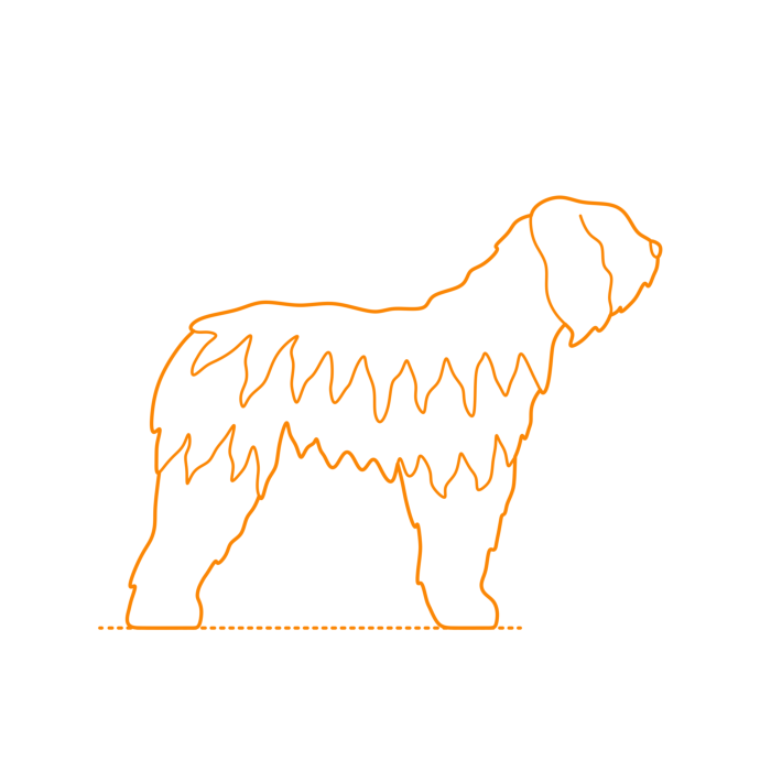 Free Download Vectors, Animals Dogs Bergamasco Sheepdog Drawing Svg Vector