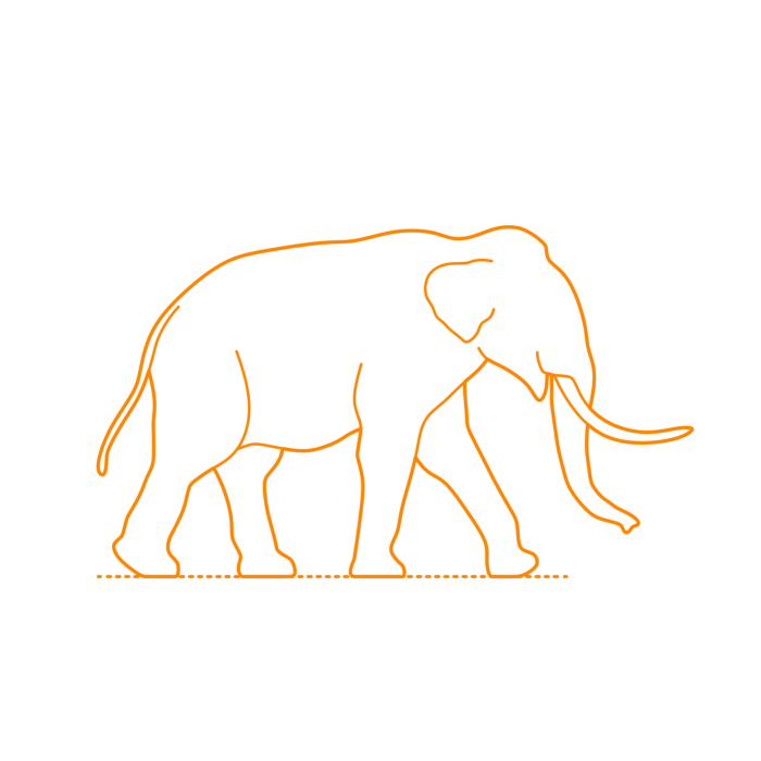 Free Download Vectors, Animals Elephants Cyprus Dwarf Elephant Line Tracing Svg Vector