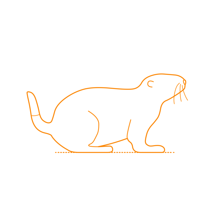 Free Vector, Animals Rodents Black Tailed Prairie Dog Outline Svg Vector