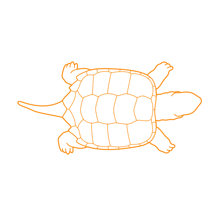 Free Download Vectors, Animals Turtles Common Snapping Turtle Line Tracing Svg Vector