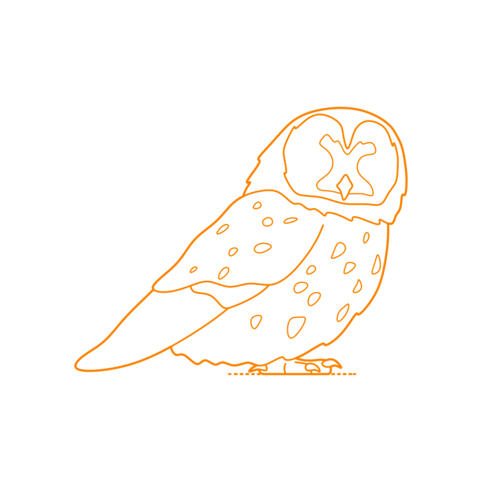Free Download Vectors, Animals Birds Of Prey Tawny Owl Line Art Svg Vector