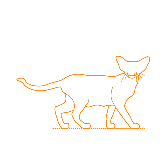Free Download Vectors, Animals Cats Oriental Cat Outline Svg Vector