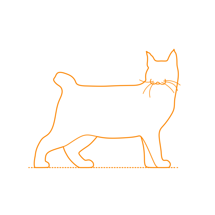 Free Download Vectors, Animals Cats Pixie Bob Cat Outline Svg Vector