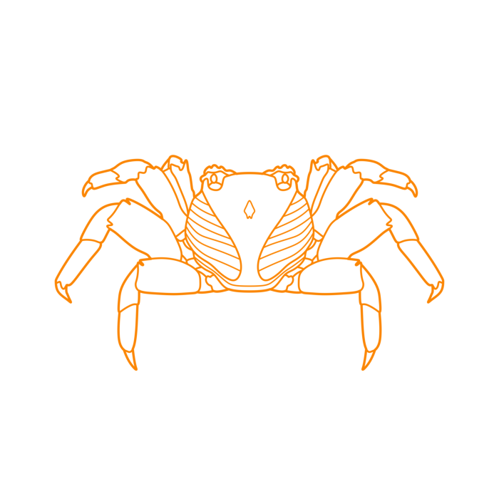 Free Download Vectors, Animals Crustaceans Red Rock Crab Drawing Svg Vector