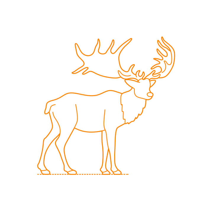 Free Download Vectors, Animals Deer Irish Elk Line Tracing Svg Vector