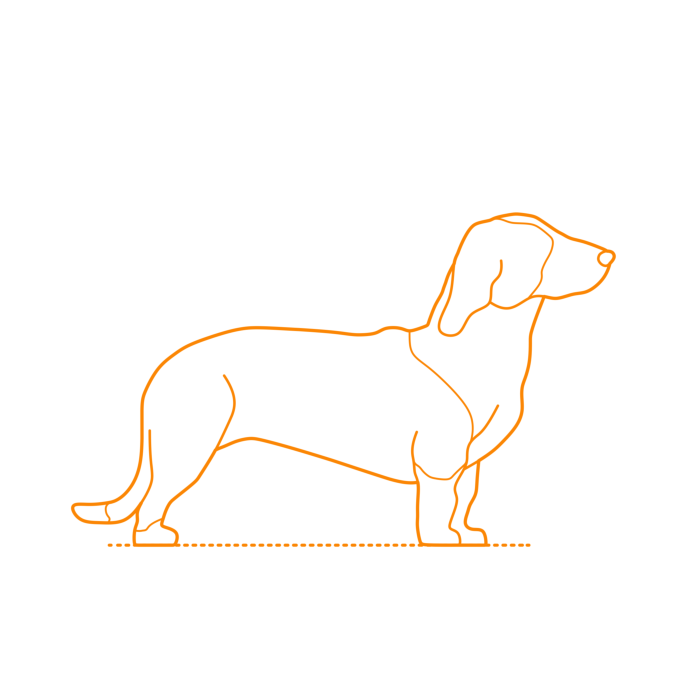 Free Download Vectors, Animals Dogs Drever Line Tracing Svg Vector