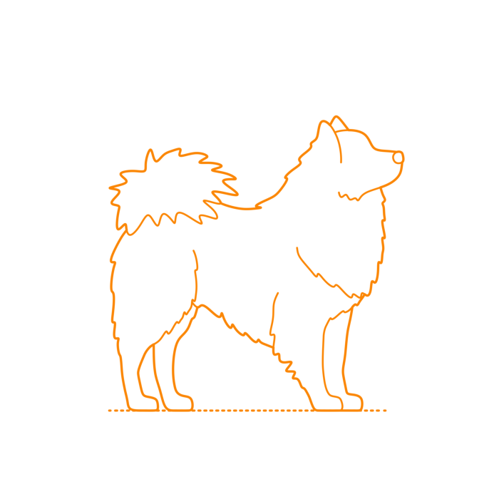 Free Download Vectors, Animals Dogs German Spitz Mittel Line Art Svg Vector