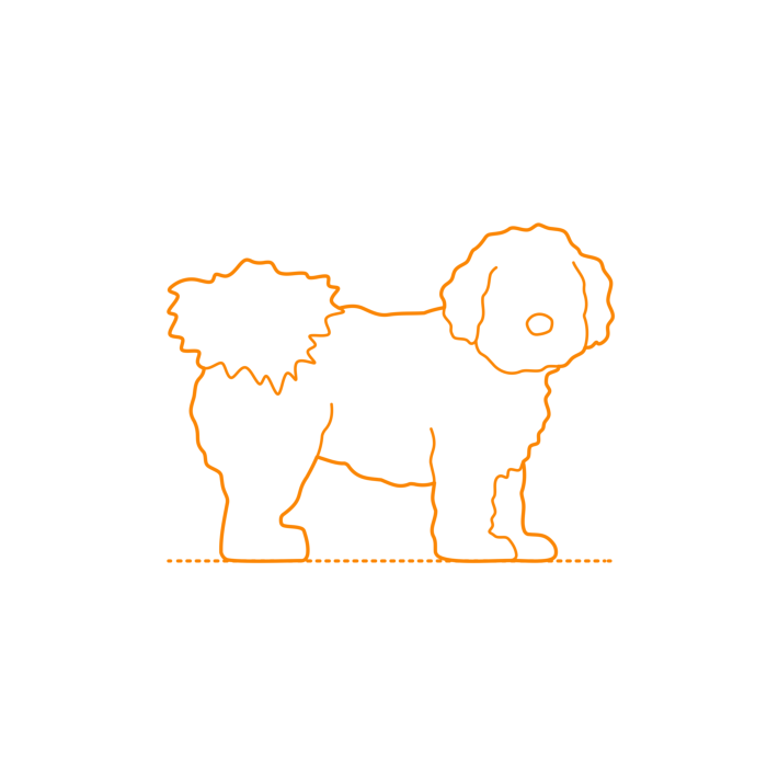 Free Download Vectors, Animals Dogs Havanese Line Tracing Svg Vector