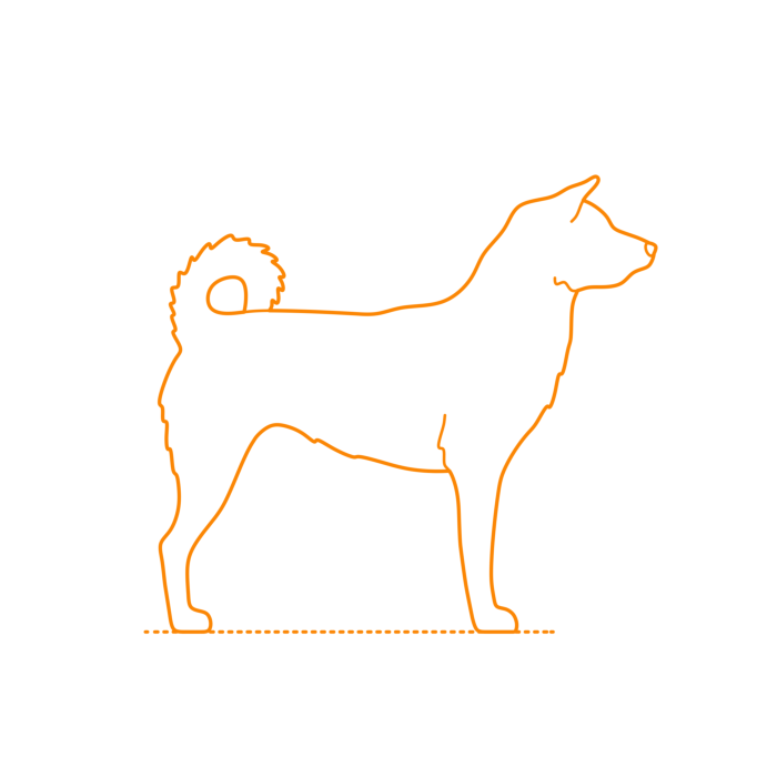 Free Download Vectors, Animals Dogs Jindo Outline Svg Vector