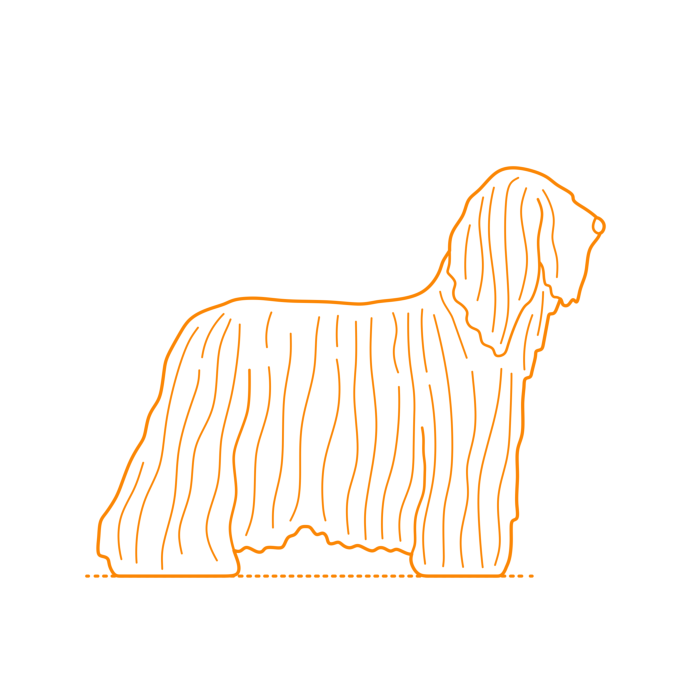 Free Download Vectors, Animals Dogs Komondor Outline Svg Vector