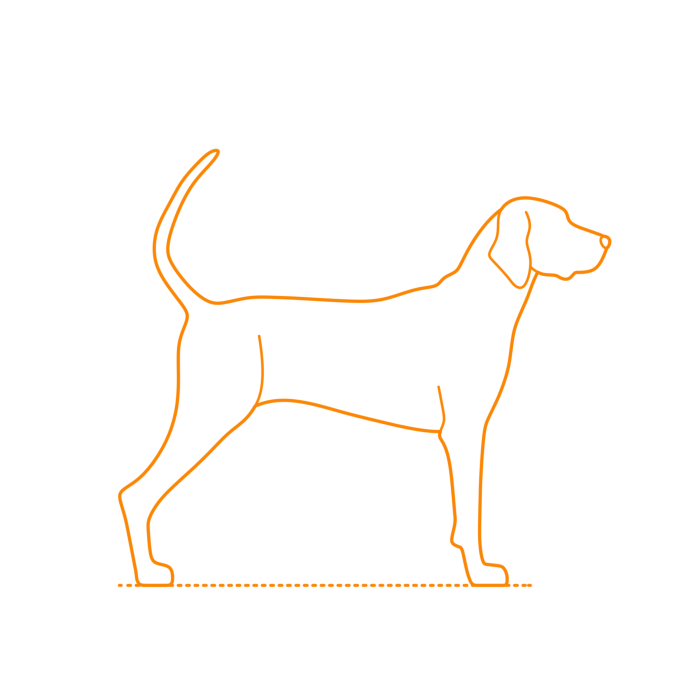 Free Download Vectors, Animals Dogs Redbone Coonhound Line Tracing Svg Vector