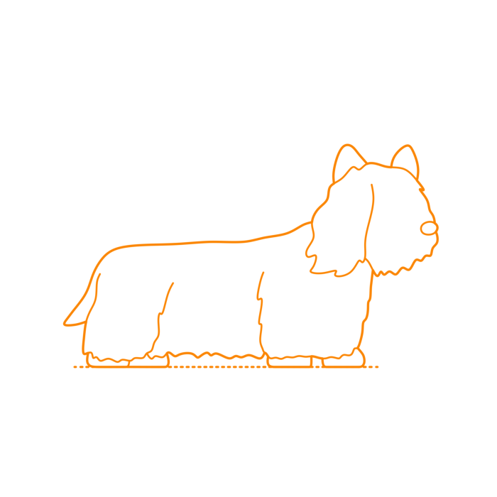 Free Download Vectors, Animals Dogs Skye Terrier Outline Svg Vector