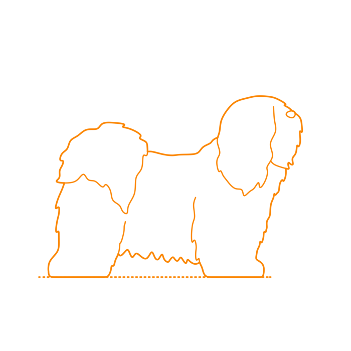 Free Download Vectors, Animals Dogs Tibetan Terrier Line Art Svg Vector