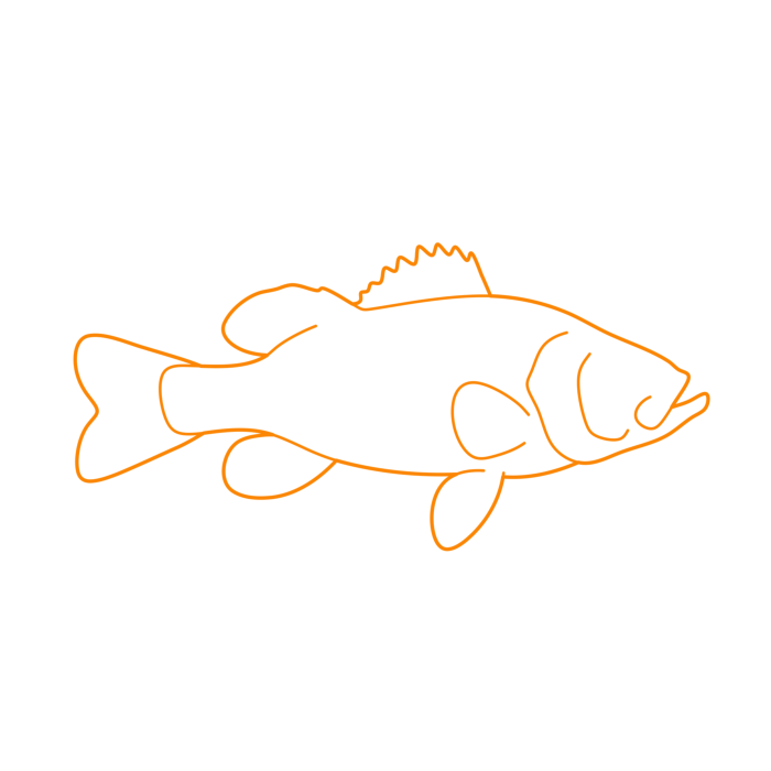Free Download Vectors, Animals Freshwater Fish Smallmouth Bass Outline Svg Vector