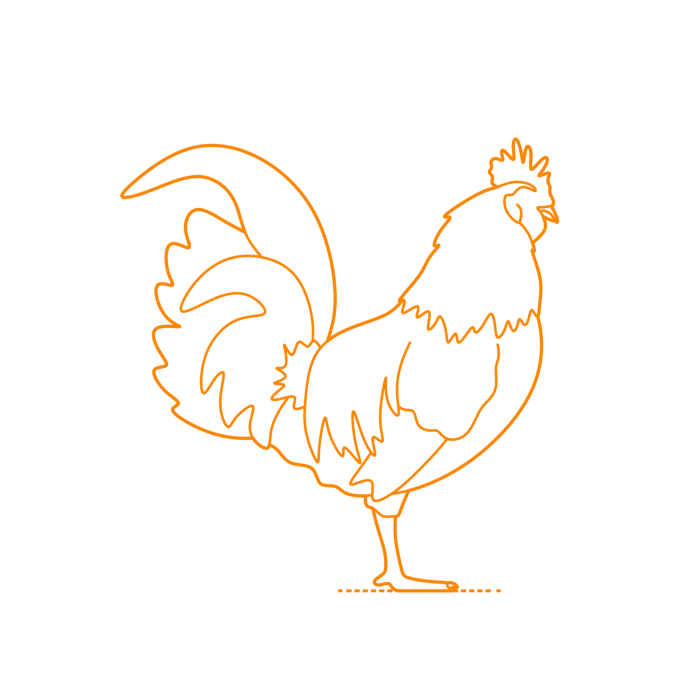 Free Download Vectors, Animals Gamefowl Domestic Chicken Drawing Svg Vector