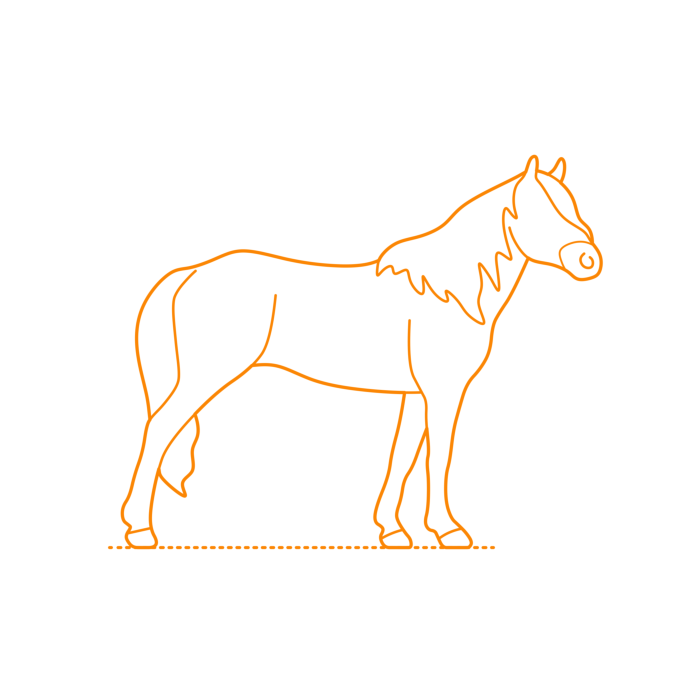Free Download Vectors, Animals Horses Haflinger Horse Line Art Svg Vector