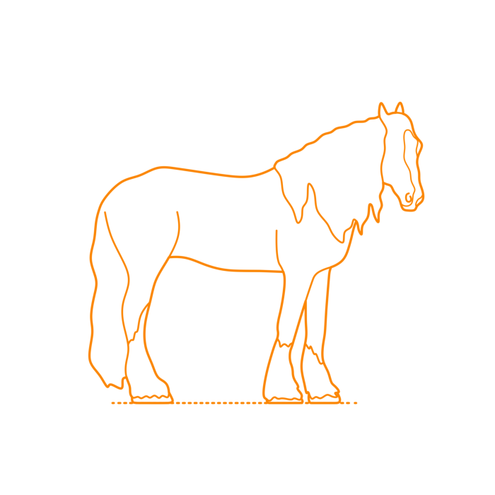Free Download Vectors, Animals Horses Shire Horse Outline Svg Vector