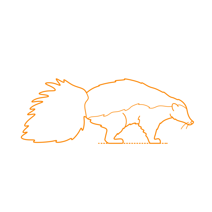 Free Download Vectors, Animals Mustelids Hooded Skunk Line Tracing Svg Vector