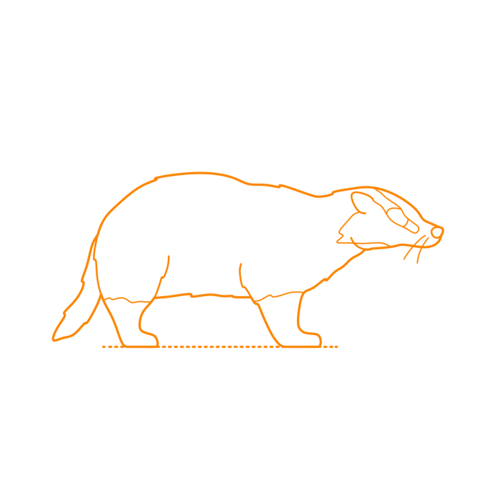 Free Download Vectors, Animals Mustelids Japanese Badger Drawing Svg Vector