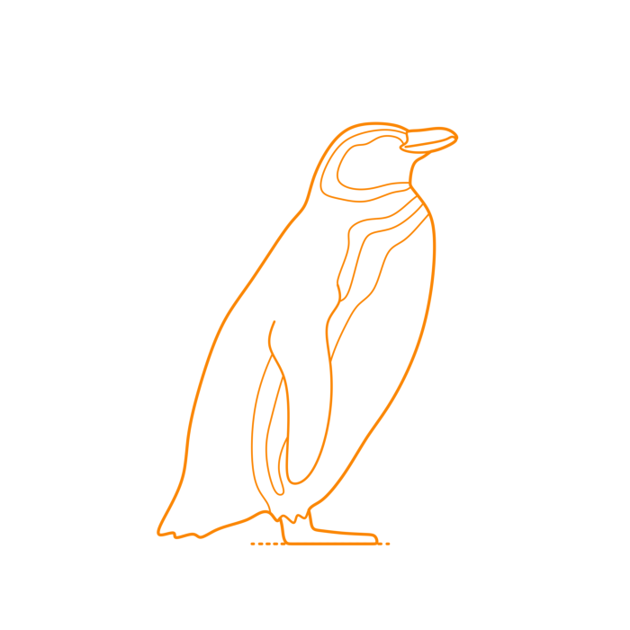 Free Download Vectors, Animals Penguins Magellanic Penguin Outline Svg Vector