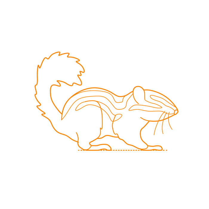 Free Download Vectors, Animals Rodents Eastern Chipmunk Drawing Svg Vector