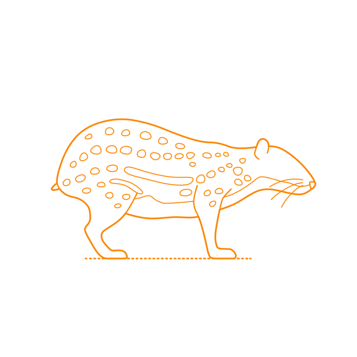 Free Download Vectors, Animals Rodents Lowland Paca Drawing Svg Vector
