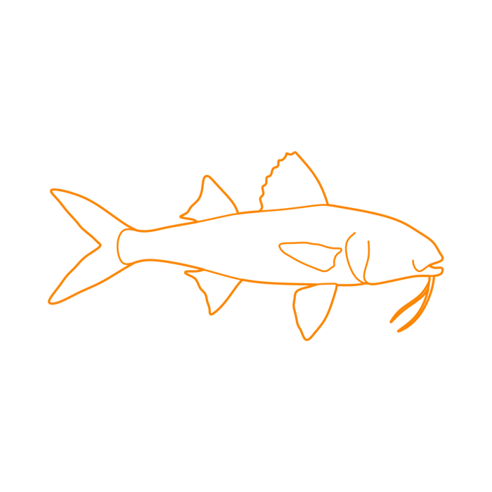 Free Download Vectors, Animals Saltwater Fish Yellow Goatfish Line Tracing Svg Vector