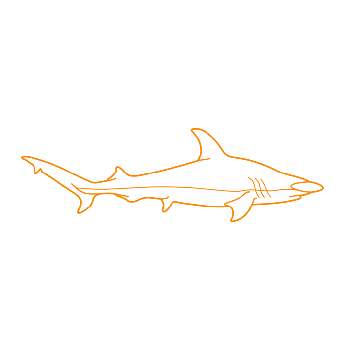 Free Download Vectors, Animals Sharks Great Hammerhead Drawing Svg Vector