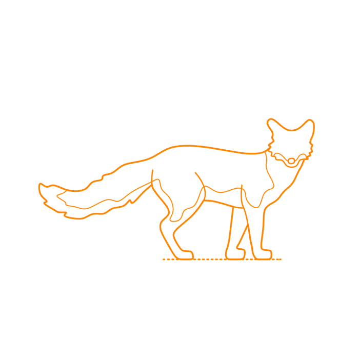 Free Download Vectors, Animals Vulpini Gray Fox Drawing Svg Vector