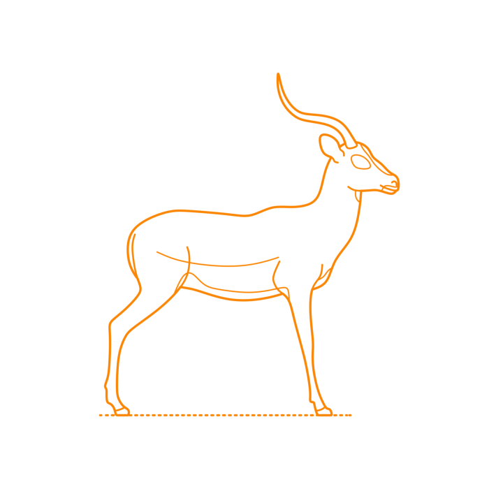 Free Download Vectors, Animals Antelopes Drawing Svg Vector