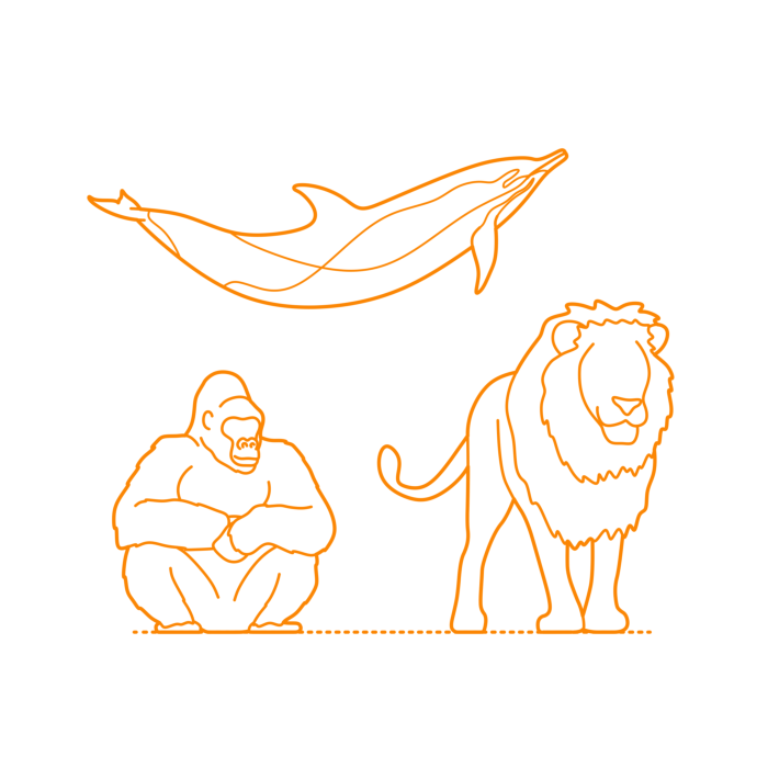 Free Download Vectors, Animals Mammals Line Art Svg Vector