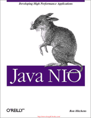 Java NIO Book