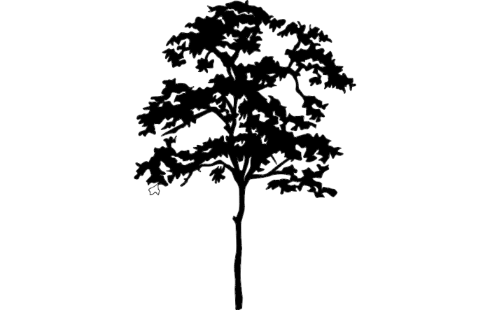 Free Download Vectors, Tree Silhouette Laser Cut DXF File