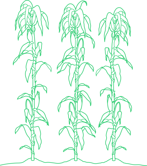 Free Download Vectors, Plants Agriculture Drawing Svg Vector