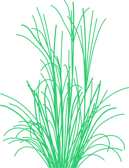 Free Download Vectors, Plants Grasses Drawing Svg Vector