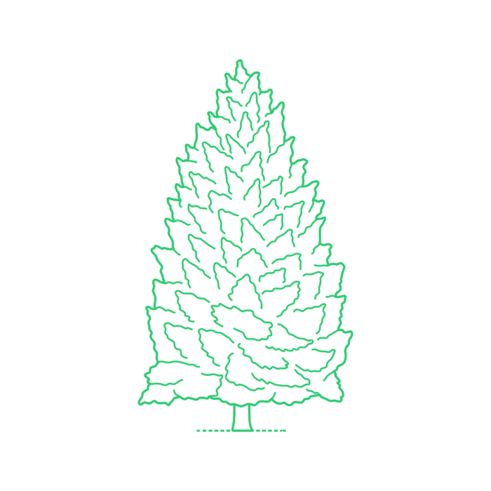 Free Download Vectors, Plants Hemlocks Eastern Hemlock Line Art Svg Vector