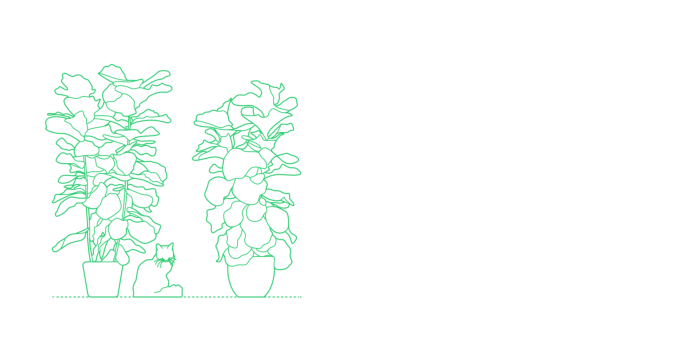 Free Download Vectors, Plants Indoor Fiddle Leaf Fig Line Art Svg Vector