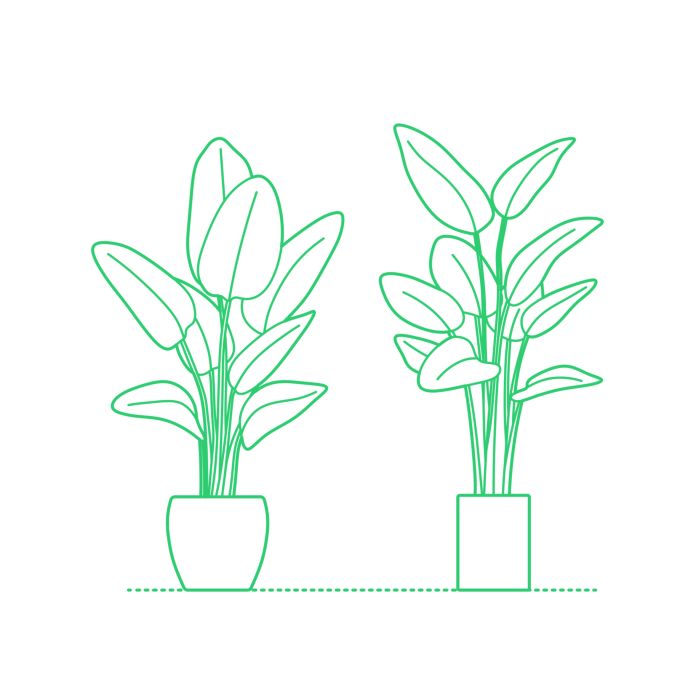 Free Download Vectors, Plants Indoor Plants Bird Of Paradise Outline Svg Vector