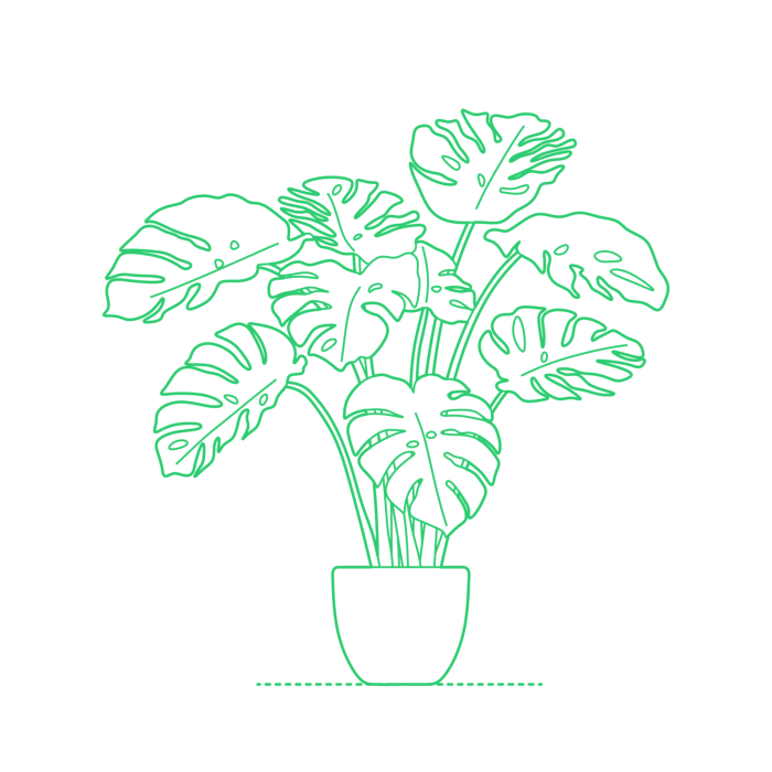 Free Download Vectors, Plants Indoor Split Leaf Philodendron Drawing Svg Vector