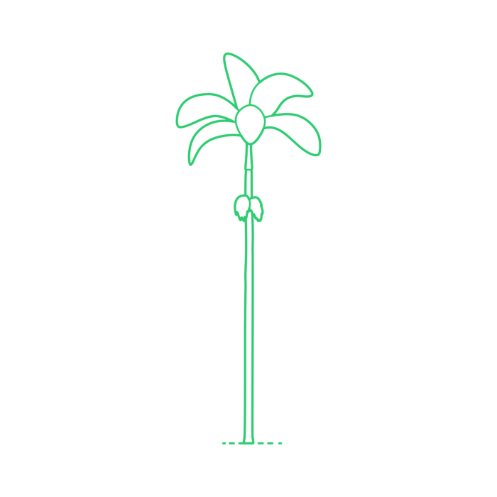 Free Download Vectors, Plants Palms Alexandra Palm Line Tracing Svg Vector