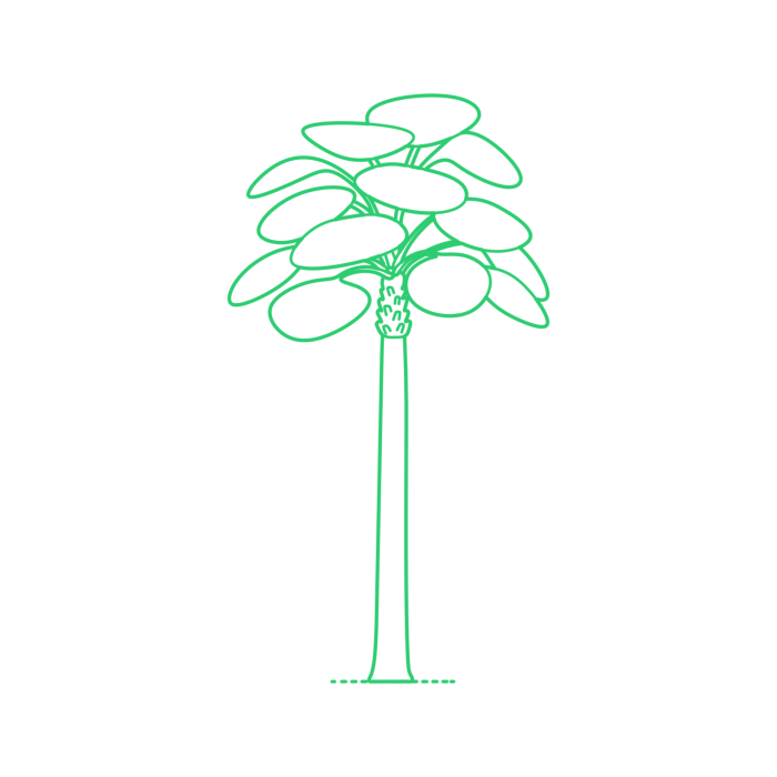 Free Download Vectors, Plants Palms Mexican Blue Palm Line Art Svg Vector