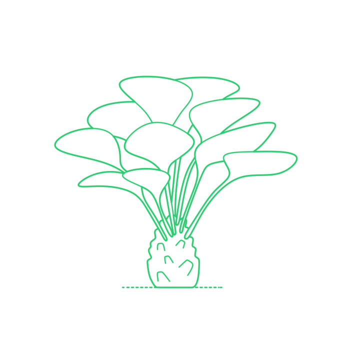 Free Download Vectors, Plants Palms Needle Palm Line Tracing Svg Vector
