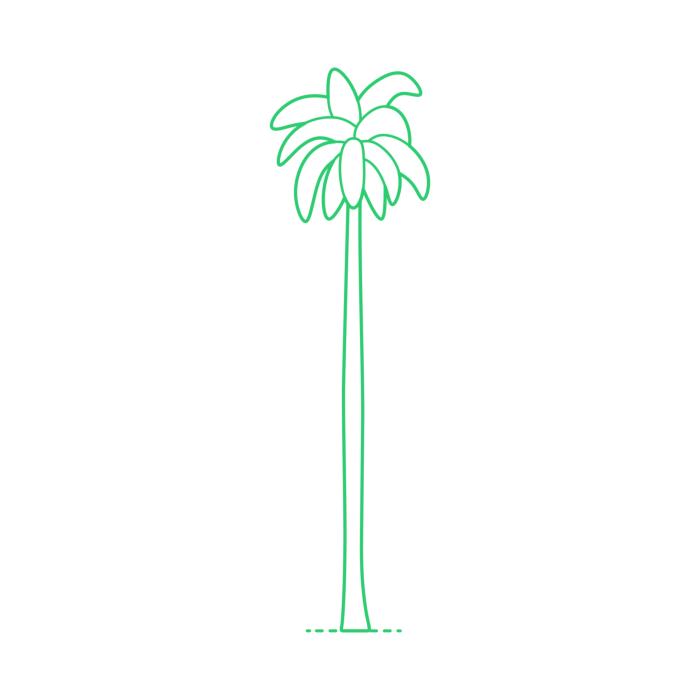 Free Download Vectors, Plants Palms Royal Palm Line Tracing Svg Vector